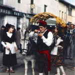 Candelera 1993-2