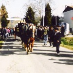 Candelera 1994-4